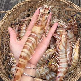  海鲜界网红“爆火全网”：生猛海鲜，吃货天堂！看完流口水...... 