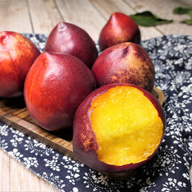 高山原生态种植山东黄肉油桃