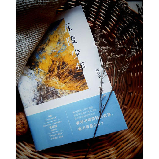 【“云端书展”专区】五陵少年 甫跃辉/著 商品图2