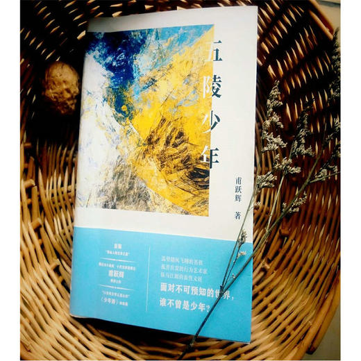【“云端书展”专区】五陵少年 甫跃辉/著 商品图4