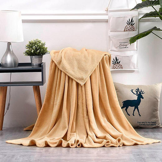 内野-樱雅双面法兰绒毯 KSGT001-N 商品图0