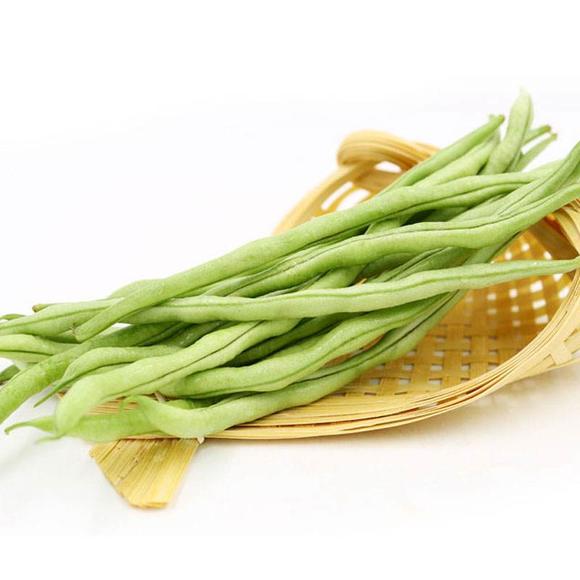 无丝豆角