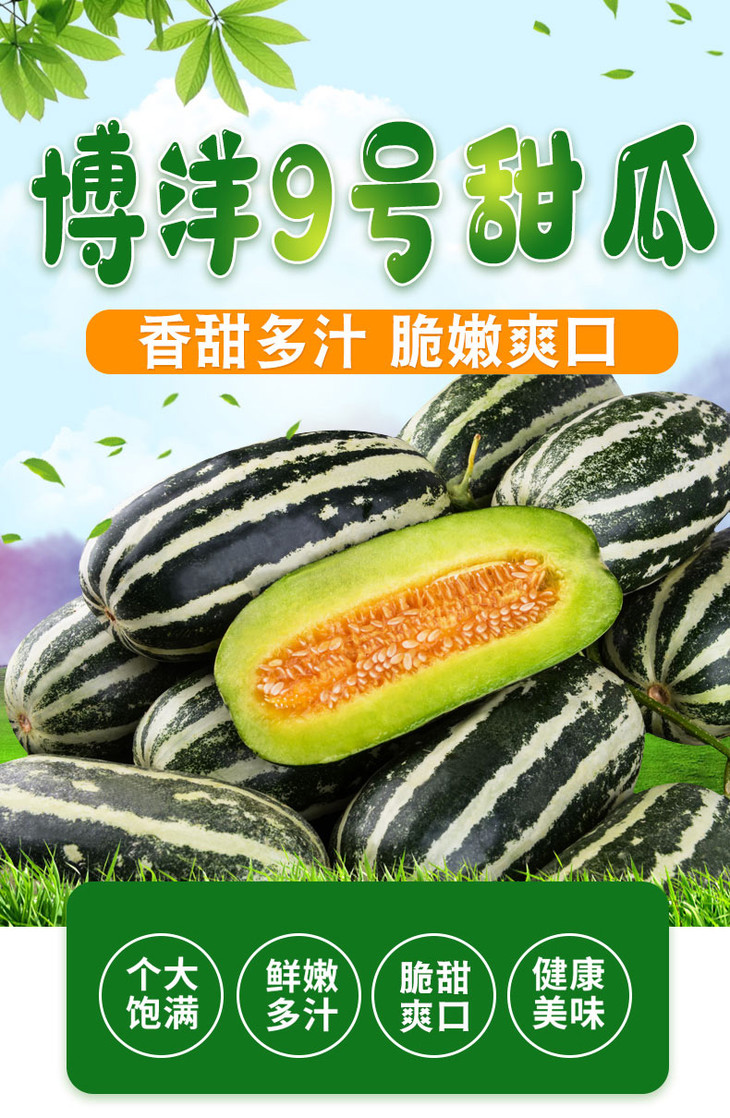 博洋9甜瓜1.5kg