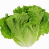 生菜1斤 商品缩略图0