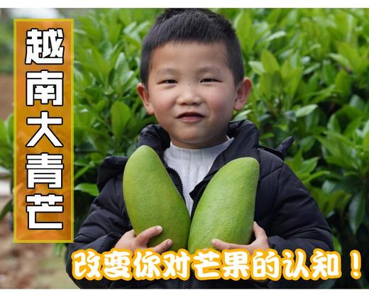 大芒果大活动（测试用） 商品图0