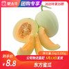 【团购】东方蜜瓜1KG±100g 商品缩略图0