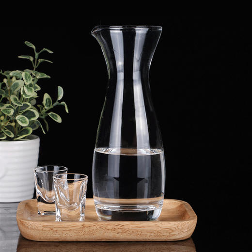 醒酒器/分酒器/扎壶 （一只） 商品图0