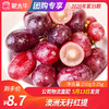 【团购】澳洲无籽红提250g±25g 商品缩略图0