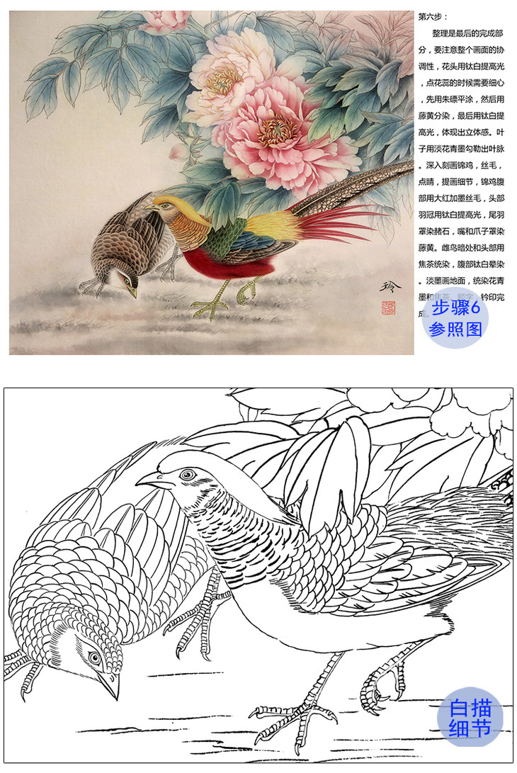 【有步骤,大彩图】郑玲玲工笔画白描稿牡丹锦鸡《锦上添花》zl63