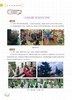 幼儿教师基本功 爱上美术活动区 全彩微课版 李慰宜携一线幼师团队手把手带你做活动区 商品缩略图4