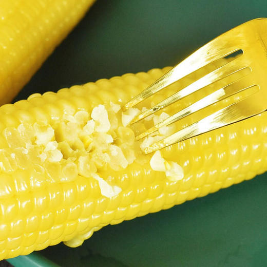 【10根】东北糯玉米甜粘玉米棒非转基因真空包装新鲜即食粗粮免煮 商品图2