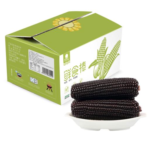 东北黑糯玉米棒10支新鲜非转基因紫黏代餐真空甜粘嫩即食玉米苞米 商品图0