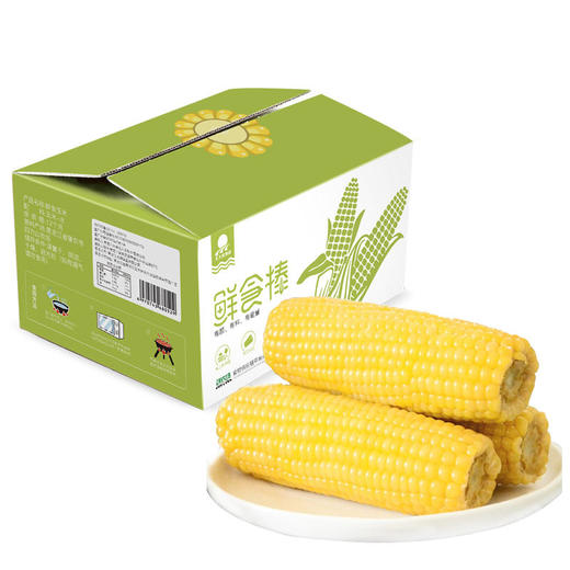 【10根】东北糯玉米甜粘玉米棒非转基因真空包装新鲜即食粗粮免煮 商品图0