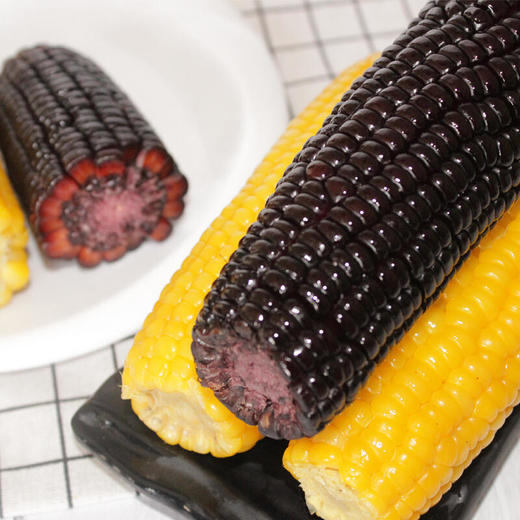 组合装10根东北糯玉米粘玉米棒非转基因真空包装新鲜即食黑黄玉米 商品图0