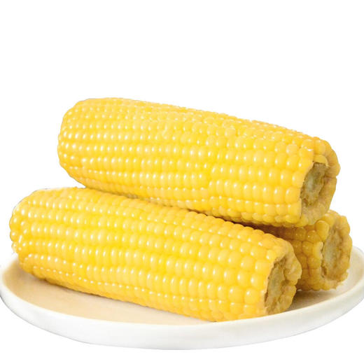 【10根】东北糯玉米甜粘玉米棒非转基因真空包装新鲜即食粗粮免煮 商品图1