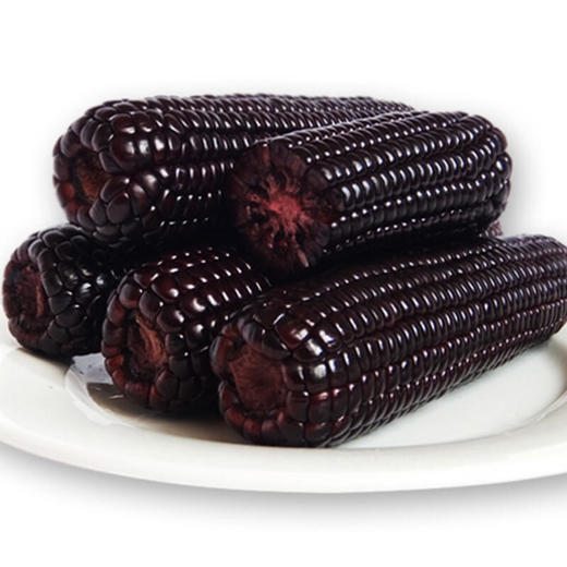 东北黑糯玉米棒10支新鲜非转基因紫黏代餐真空甜粘嫩即食玉米苞米 商品图2