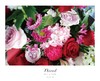 名画系列鲜花花束|《生日》 商品缩略图3
