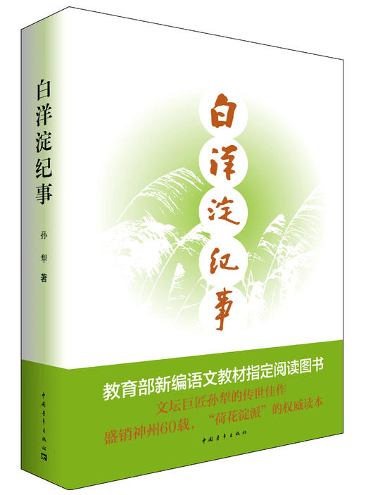 白洋淀纪事 商品图0