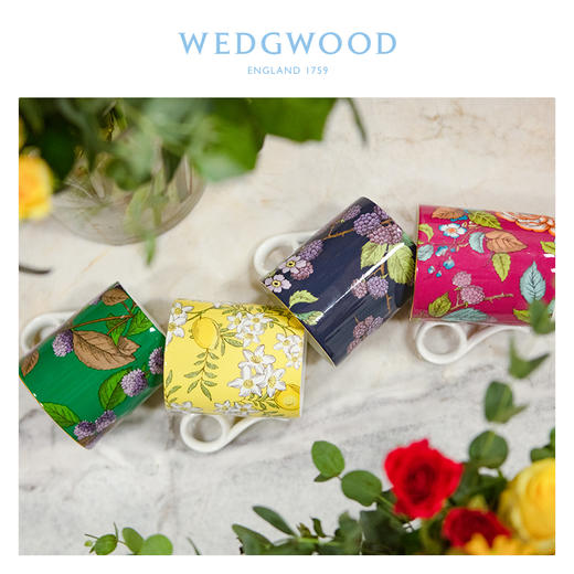 WEDGWOOD玮致活茶香花园马克杯骨瓷杯子欧式茶杯水杯咖啡杯家用 商品图3