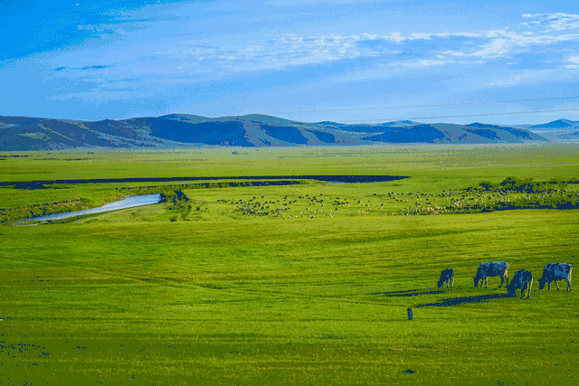 亲子游 | 新疆 /// 入住希尔顿,观喀纳斯沿线精华景点