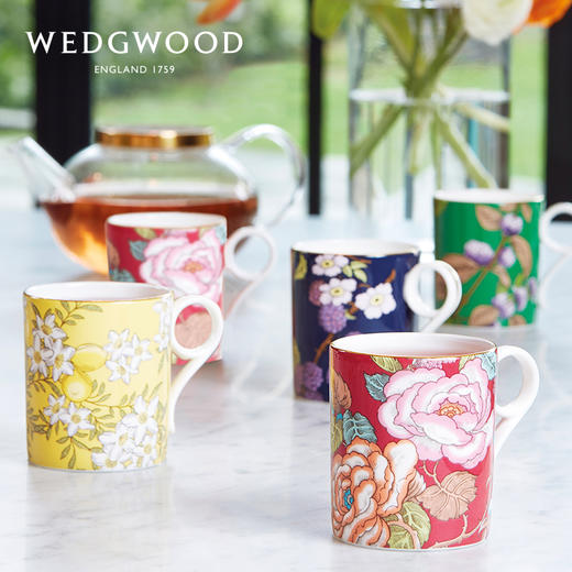 WEDGWOOD玮致活茶香花园马克杯骨瓷杯子欧式茶杯水杯咖啡杯家用 商品图0