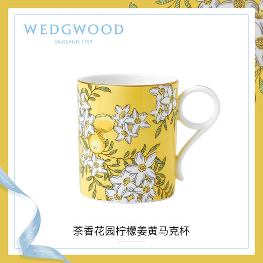 WEDGWOOD玮致活茶香花园马克杯骨瓷杯子欧式茶杯水杯咖啡杯家用 商品图1