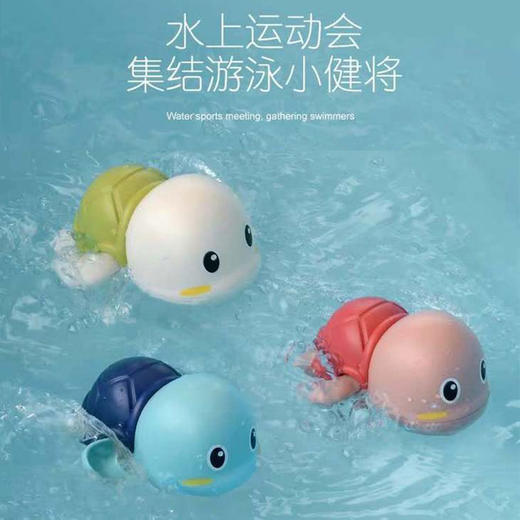 ★游水小乌龟3个装 商品图1