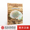 【7-15岁】刘慈欣科幻漫画系列 圆圆的肥皂泡 刘慈欣 科琳娜蓓尔特兰德 等著 中信出版社童书 正版书籍 商品缩略图0