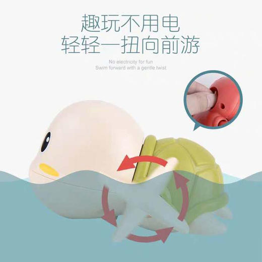 ★游水小乌龟3个装 商品图3
