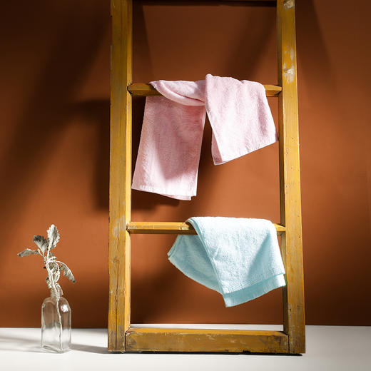 JD22868-N 百草薄荷植物抗菌面巾两件套 商品图1