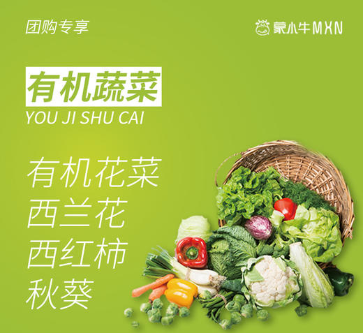 【团购】有机蔬菜 商品图0