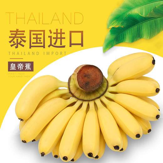 泰国皇帝蕉 1串不少于1.8斤 商品图0