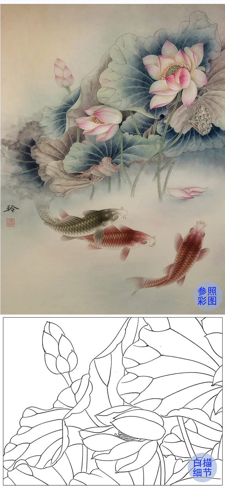 郑玲玲工笔画白描底稿-荷塘鱼乐图-zla2