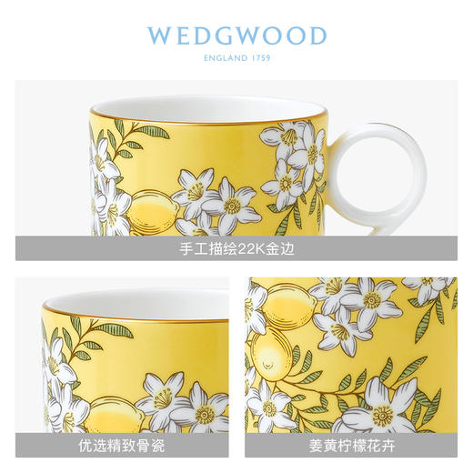 WEDGWOOD玮致活茶香花园马克杯骨瓷杯子欧式茶杯水杯咖啡杯家用 商品图2