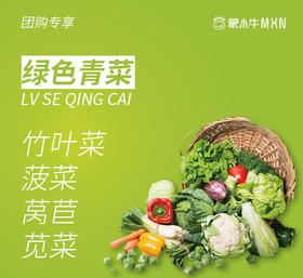 【团购】绿色青菜