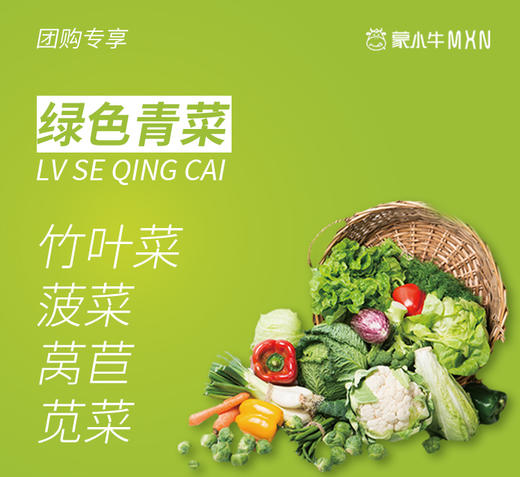 【团购】绿色青菜 商品图0