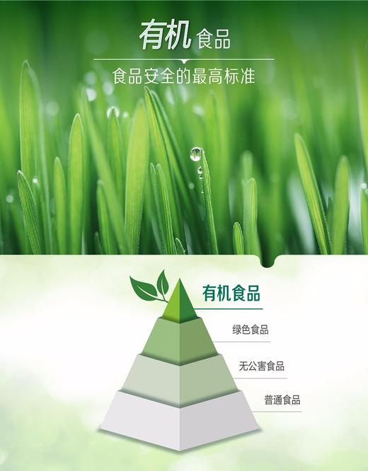 雅培菁挚妈妈有机孕产妇配方调制乳粉800G 商品图1