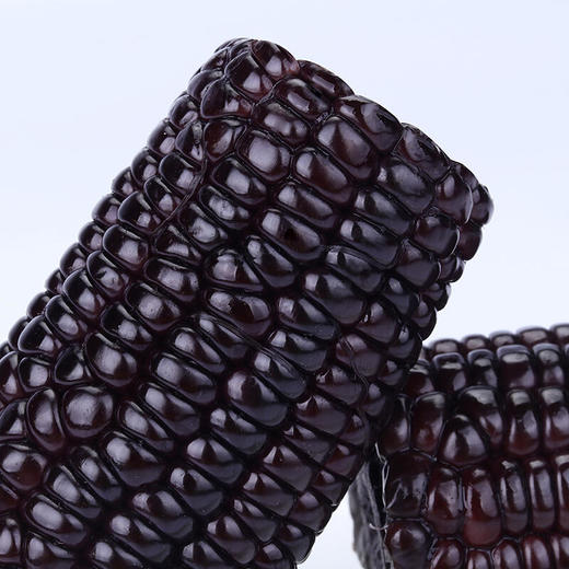 东北黑糯玉米棒10支新鲜非转基因紫黏代餐真空甜粘嫩即食玉米苞米 商品图1