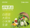 【团长】调味菜品 4款（生姜/白蒜苔 /大蒜头/小米辣） 商品缩略图0