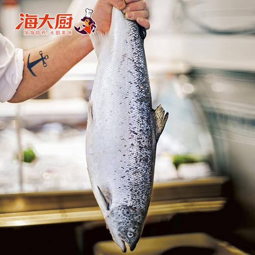 【海大厨】进口新鲜三文鱼边角料  冰鲜 （三文鱼头 三文鱼排  三文鱼鱼鳍 ） 商品图0