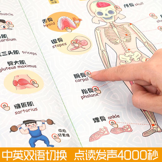 说出身体的秘密手指点读发声书 商品图2