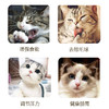 猫薄荷粉罐装 260ml猫零食逗猫去毛球猫草排毛球（一件代发，省内包邮） 商品缩略图2