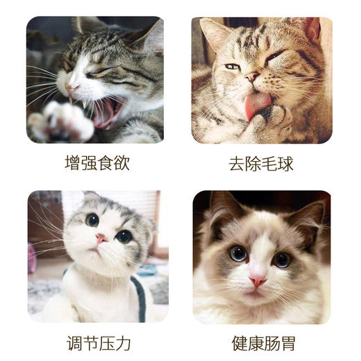 猫薄荷粉罐装 260ml猫零食逗猫去毛球猫草排毛球（一件代发，省内包邮） 商品图2