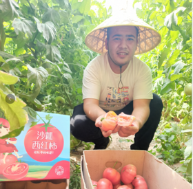 【顺丰包邮】吐鲁番沙瓤5斤12-15个/件  