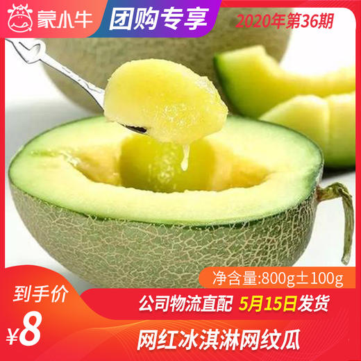 【团购】网红冰淇淋网纹瓜800g±100g 商品图0