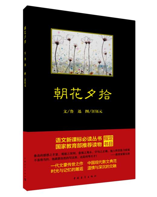 朝花夕拾 商品图0