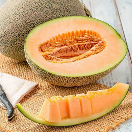 新疆哈密瓜西州蜜25号7-8斤 商品图3