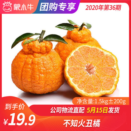 【团购】不知火丑橘1.5KG±200g 商品图0