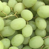 澳洲OLIVEGROVE甜心青提|皮极薄,牙齿一碰就爆炸的脆,酥甜清香!1斤 商品缩略图7