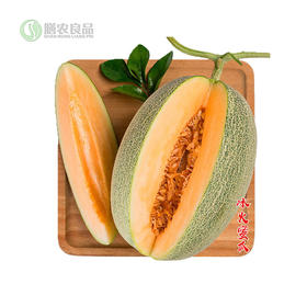 新疆哈密瓜西州蜜25号7-8斤